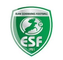 Logo de l'Elan les Sorinière